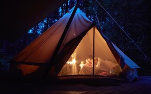 Camping-in-the-gar_2801596b